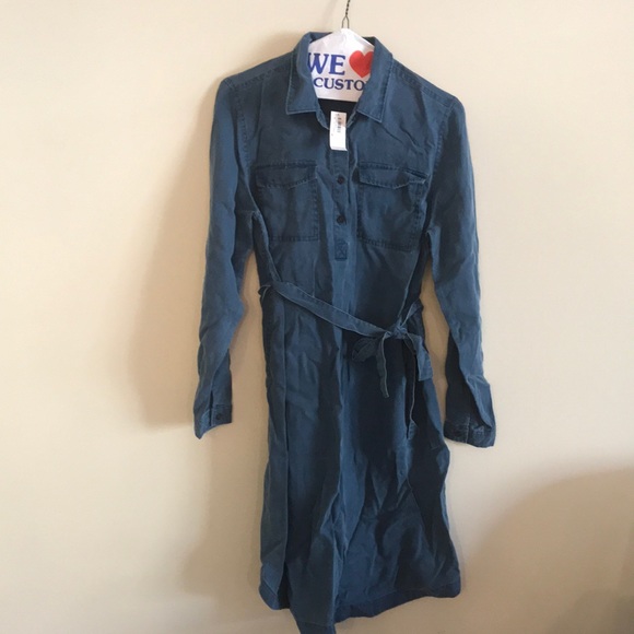 Women Blue Denim Maternity Dress - Picture 1 of 2
